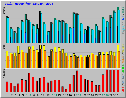 Daily usage for January 2024