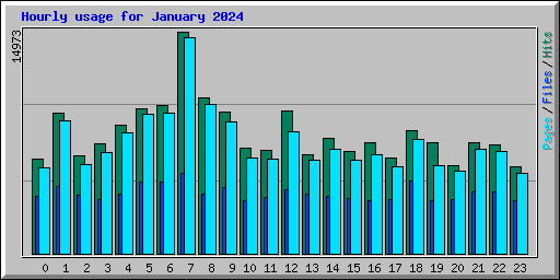 Hourly usage for January 2024