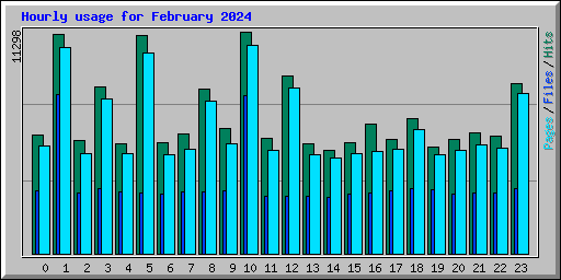 Hourly usage for February 2024