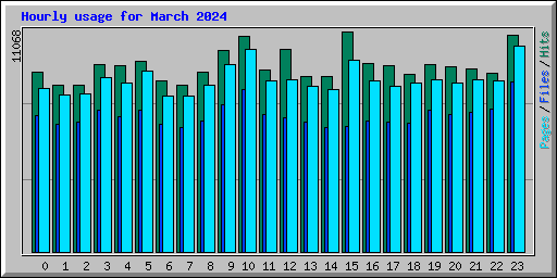 Hourly usage for March 2024