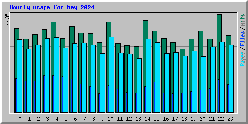 Hourly usage for May 2024