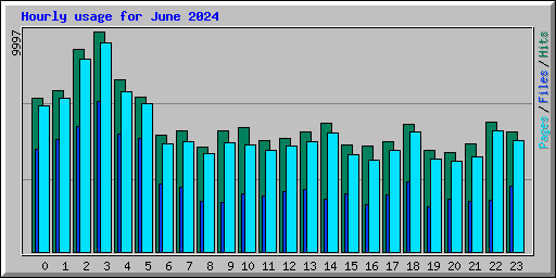 Hourly usage for June 2024