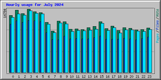 Hourly usage for July 2024